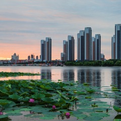 齐齐哈尔