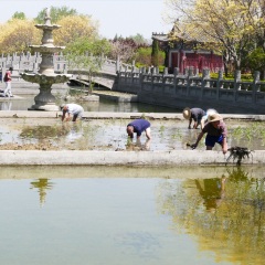 白马寺