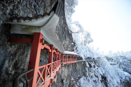 <张家界大峡谷玻璃桥-天门山玻璃栈道-凤凰古城高铁4日游>双玻之旅升级一晚禾田居度假酒店夜游凤凰特色美食贴心导游服务