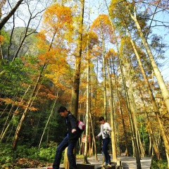 天门山