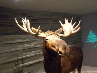 上海自然博物馆