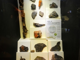 上海自然博物馆