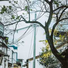 白崇禧旧居的#旅图换旅费#