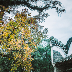 白崇禧旧居的#旅图换旅费#