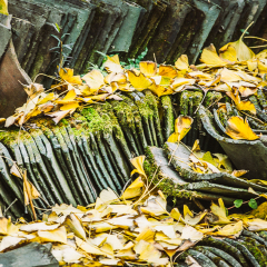 白崇禧旧居的#旅图换旅费#