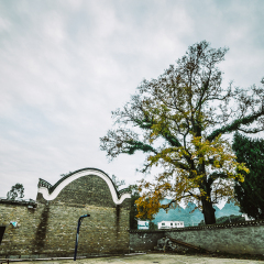 白崇禧旧居的#旅图换旅费#