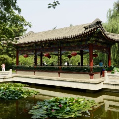 大观园