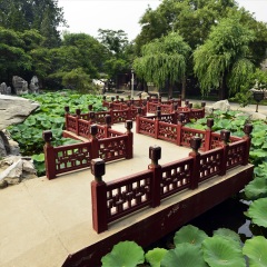 大观园