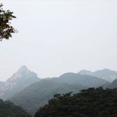 东山