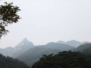 东山