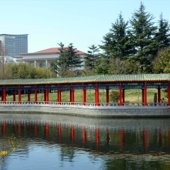 东山