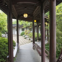 西溪湿地