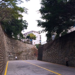 厦门大学