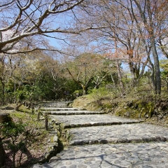 岚山公园的#旅图换旅费#