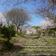 岚山公园的#旅图换旅费#