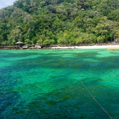 芭雅岛海洋公园的#旅图换旅费# #旅拍# 景点模块