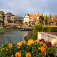 景点模块 