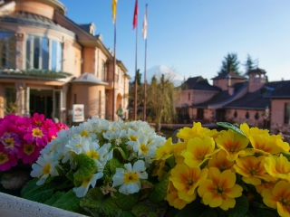 河口湖八音盒之森美术馆