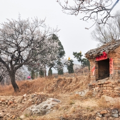 嵩山的#旅图换旅费#