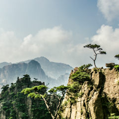 松鼠跳天都的#旅图换旅费#