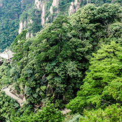 松鼠跳天都的#旅图换旅费#