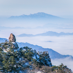 飞来石的#旅图换旅费#