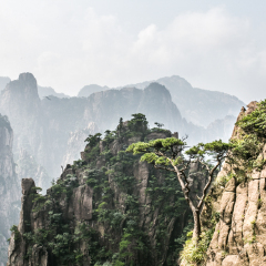 仙人踩高跷的#旅图换旅费#