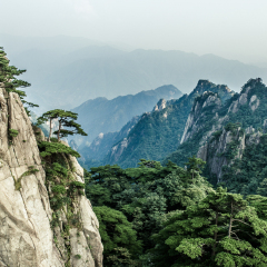 仙人踩高跷的#旅图换旅费#
