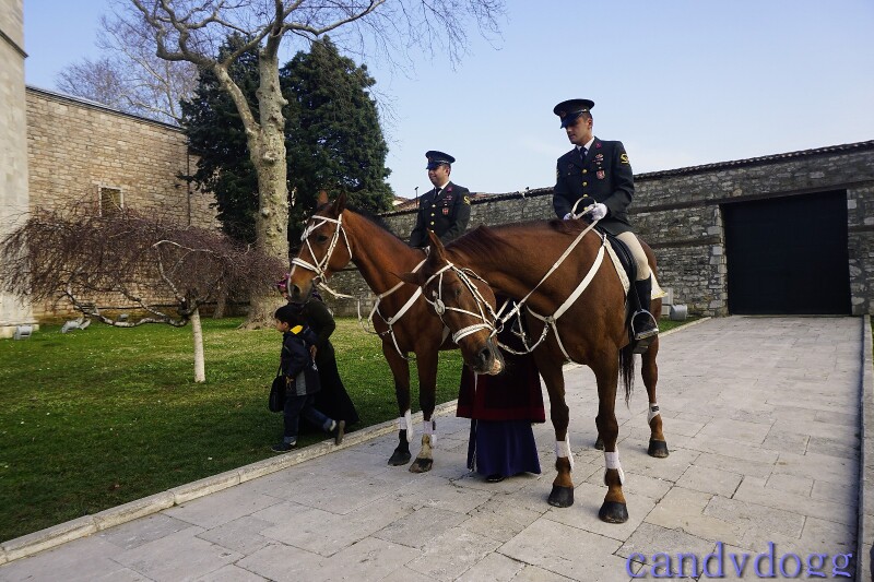 土耳其冬季十天大环线之旅
