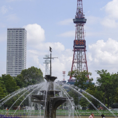大通公园的#旅图换旅费# #公园# #旅拍#