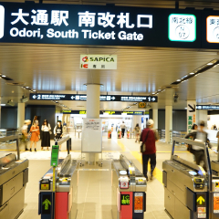 大通公园的#旅图换旅费# #公园# #旅拍#
