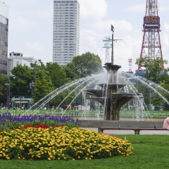 大通公园的#旅图换旅费# #公园# #旅拍#