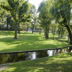 北海道大学的#旅图换旅费# #夏景# #旅拍#