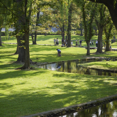 北海道大学的#旅图换旅费# #夏景# #旅拍#