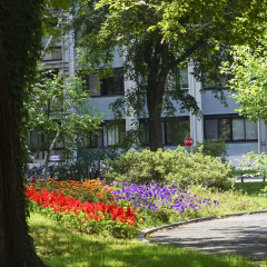 北海道大学的#旅图换旅费# #夏景# #旅拍#