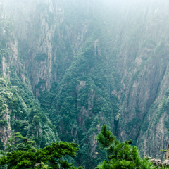 莲花峰的#旅图换旅费#
