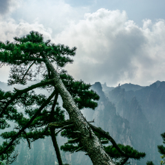 莲花峰的#旅图换旅费#