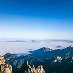 猴子观海的#旅图换旅费#