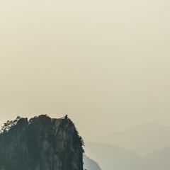 猴子观海的#旅图换旅费#