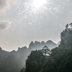 仙女弹琴的#旅图换旅费#