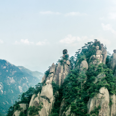 仙女弹琴的#旅图换旅费#