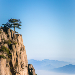 猴子观海的#旅图换旅费#