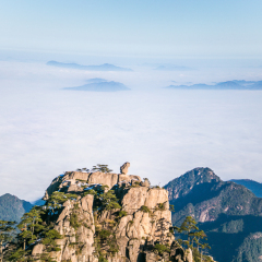 猴子观海的#旅图换旅费#