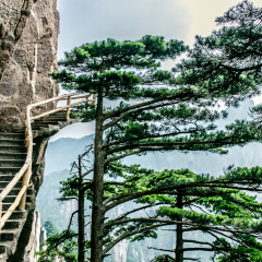 鳌鱼峰的#旅图换旅费#