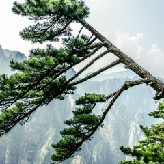 鳌鱼峰的#旅图换旅费#