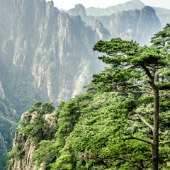 鳌鱼峰的#旅图换旅费#