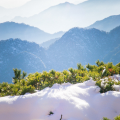 白云景区的#旅图换旅费#