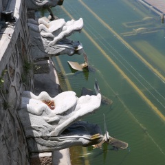 华清池