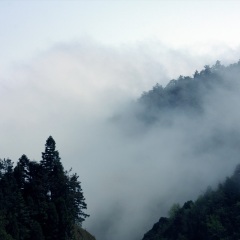 江西井冈山