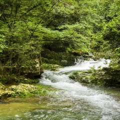 江西井冈山